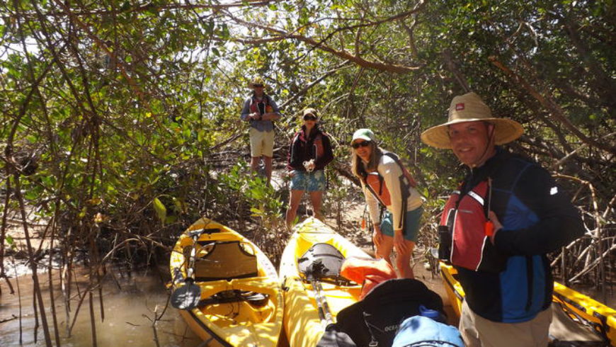 Marco Island Kayak Eco Tour